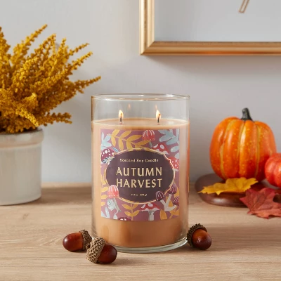 21.5oz Lidded Glass Jar 2-Wick Autumn Harvest Candle - Opalhouse™ 1 21.5oz Lidded Glass Jar 2-Wick Autumn Harvest Candle - Opalhouse™